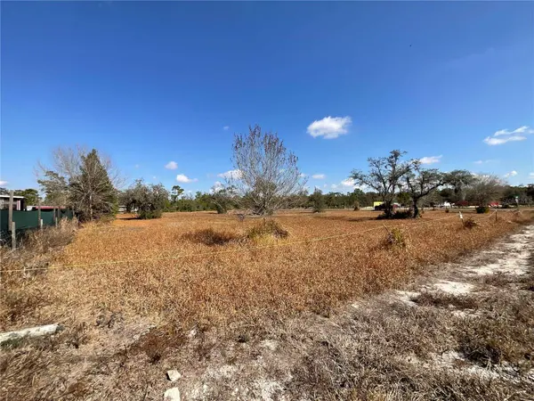 490 HOBBS DR, Venus, FL 33960