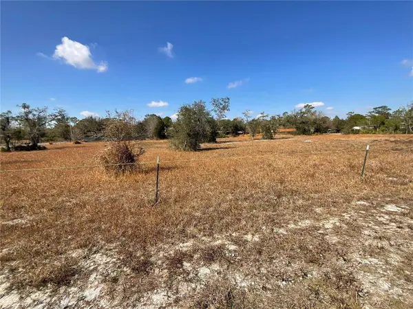 490 HOBBS DR, Venus, FL 33960