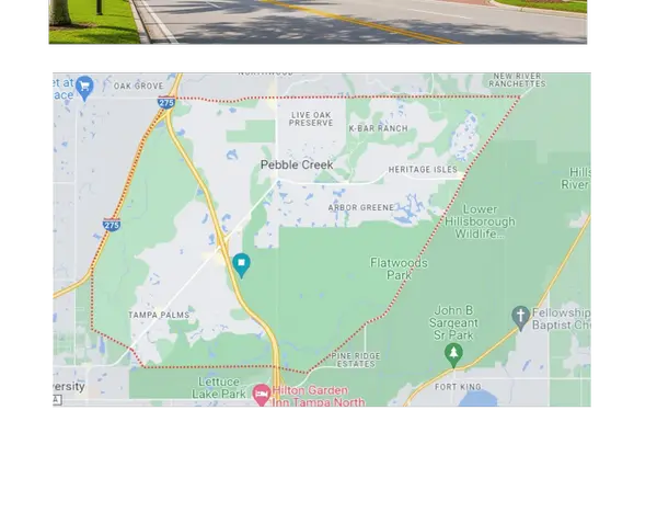 The New Tampa Living Guide