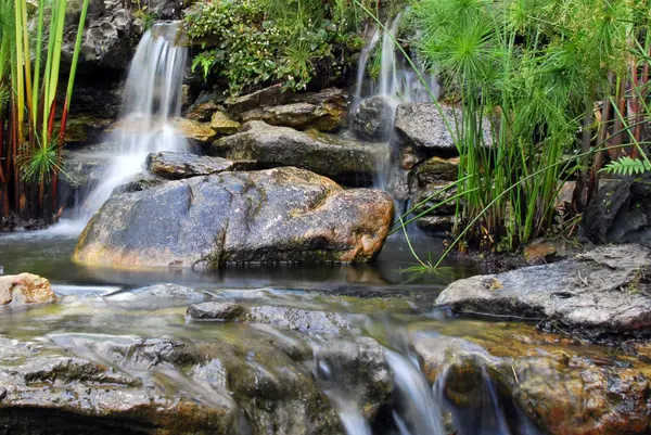 creek with rocks and small waterfall