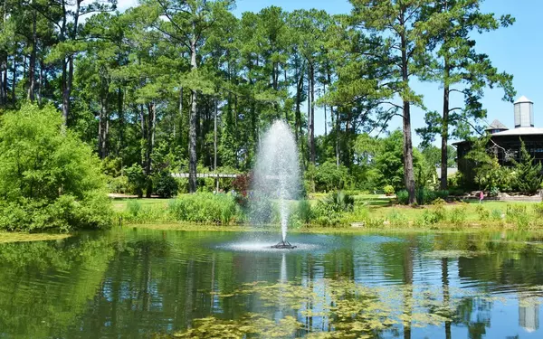 feature image of Living in Fayetteville, NC: A Deep Guide to Lifestyle, Neighborhoods, and Real Estate Opportunity