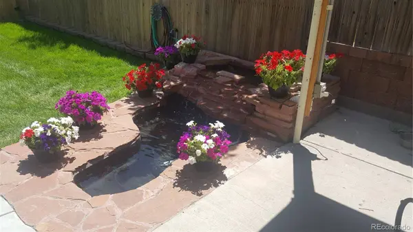 4786 Teller ST, Wheat Ridge, CO 80033