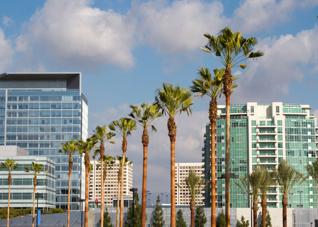 NEIGHBORHOOD_IRVINE[1]
