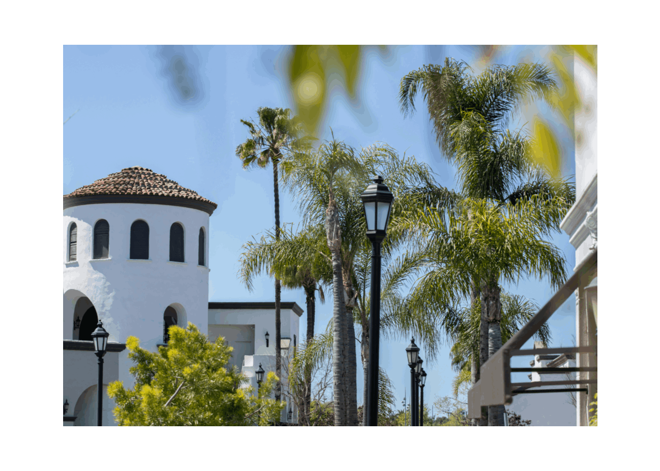 NEIGHBORHOOD_COSTAMESA[1]