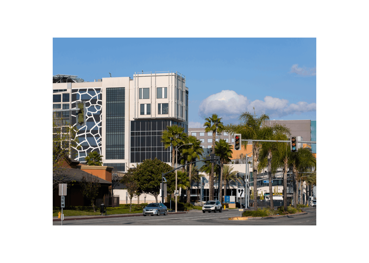 NEIGHBORHOOD_BUENAPARK[1]