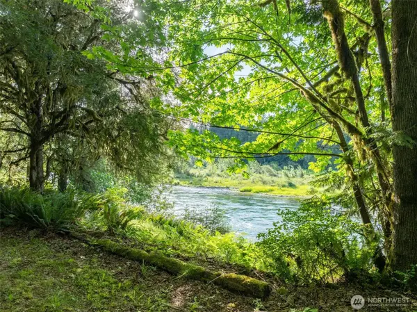 227 Cougar LN, Toledo, WA 98591