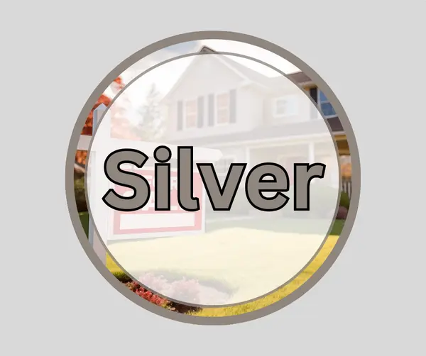 Big  Silver (1)