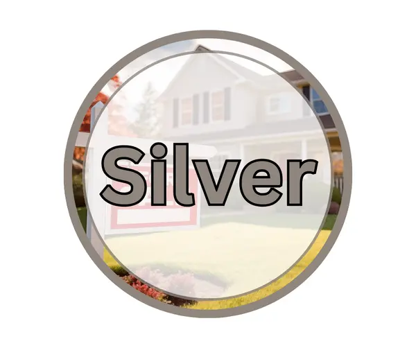 Big  Silver