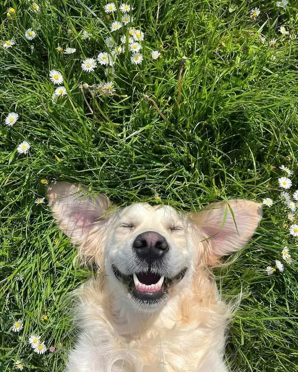 e6d5bf95003f27b0101026e73b460902