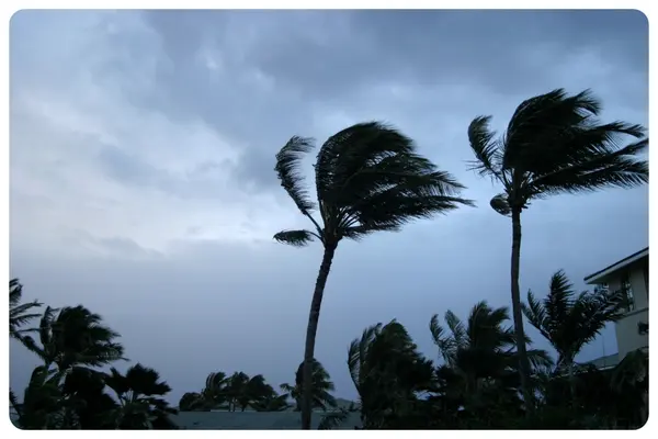 Google’s AI Can Now Predict Hurricanes 15 Days in Advance,Aponte Group