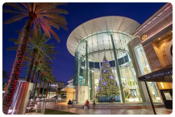 Orlando Unplugged: December News & Updates,Aponte Group