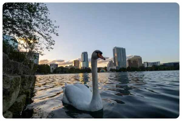 Orlando Unplugged: April News & Updates,Aponte Group