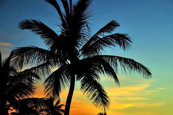 Discover Central Florida: 25 Must-Visit Weekend Getaways from Orlando,Aponte Group