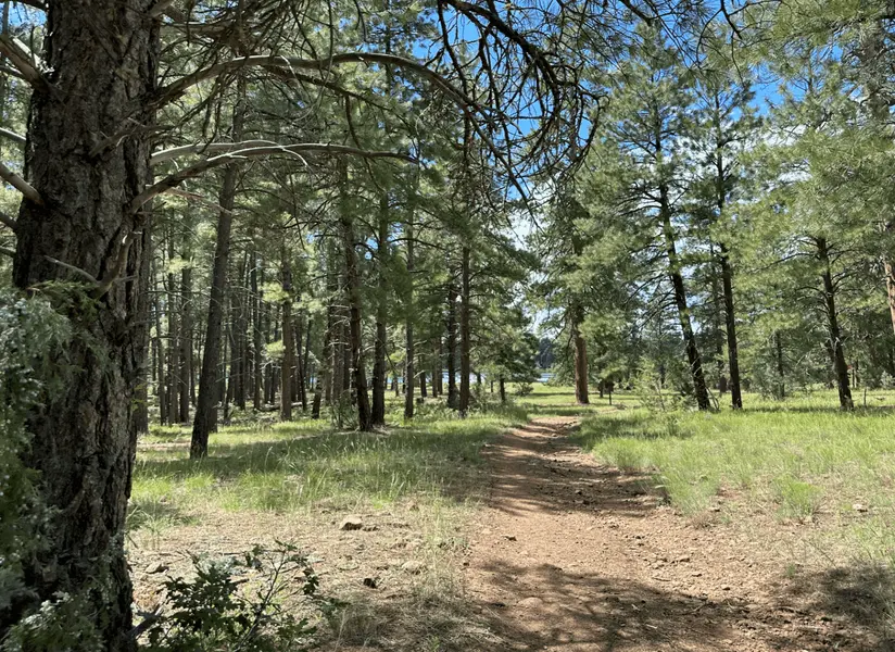 Munds Park