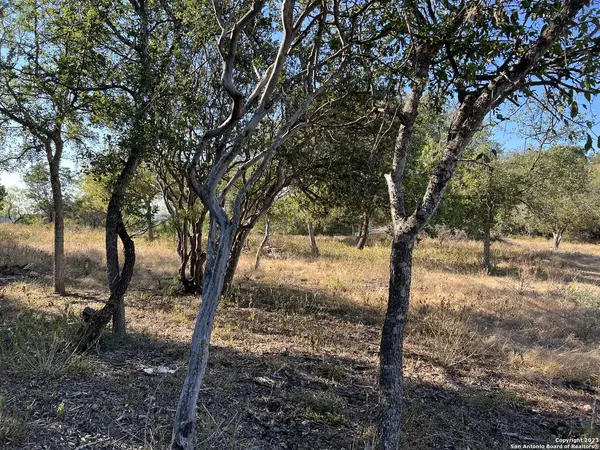 6519 Putman Pass, San Antonio, TX 78233
