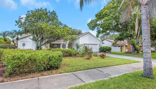 1620 COUNTRY LN, Dunedin, FL 34698