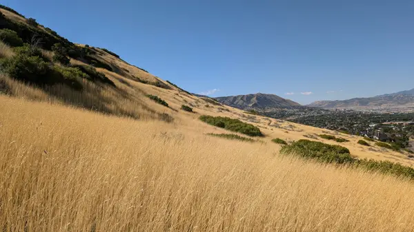 Utah's 2026 Wildfire Season and HB48: What Every Homebuyer Needs to Know About Insurance