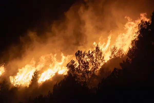 Utah Wildfires 2026: What Homebuyers Need to Know