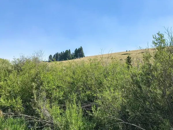 Townsend, MT 59644