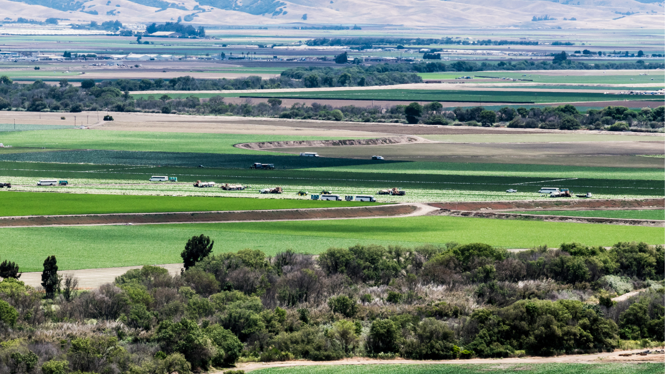 Salinas CA