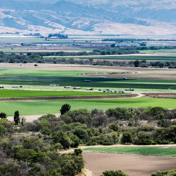 Salinas