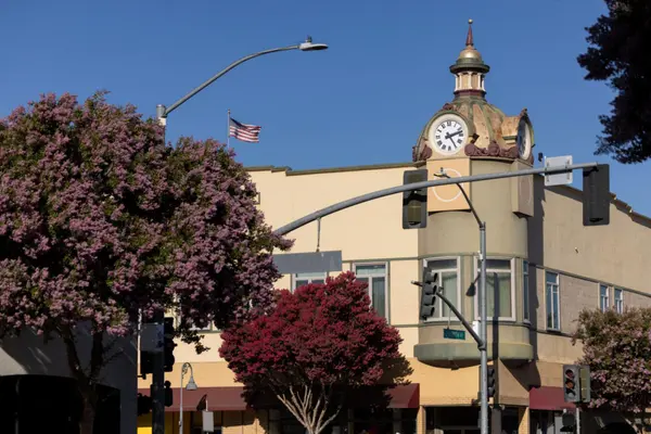 Living in South Santa Clara County: Where Scenic Beauty Meets Small-Town Charm,Shelley Canario