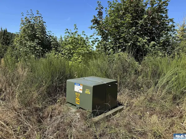 596 Watershed Rd, Port Angeles, WA 98362