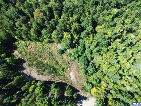 596 Watershed Rd, Port Angeles, WA 98362