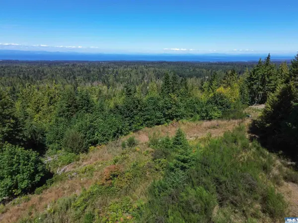 596 Watershed Rd, Port Angeles, WA 98362