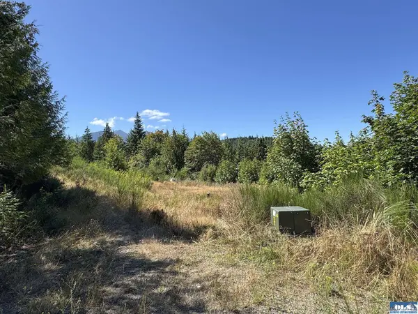 596 Watershed Rd, Port Angeles, WA 98362