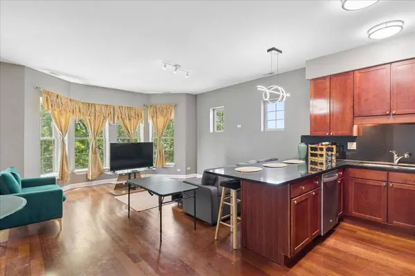 3629 S GILES AVE #4, Chicago, IL 60653