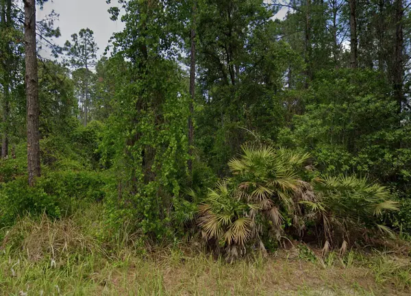 138 Pine Tree DR, Palatka, FL 32177