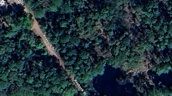 124 Roebuck ST, Georgetown, FL 32139