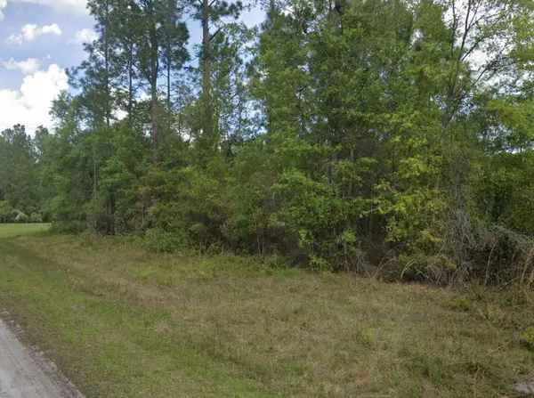 103 Glenside ST, Georgetown, FL 32139