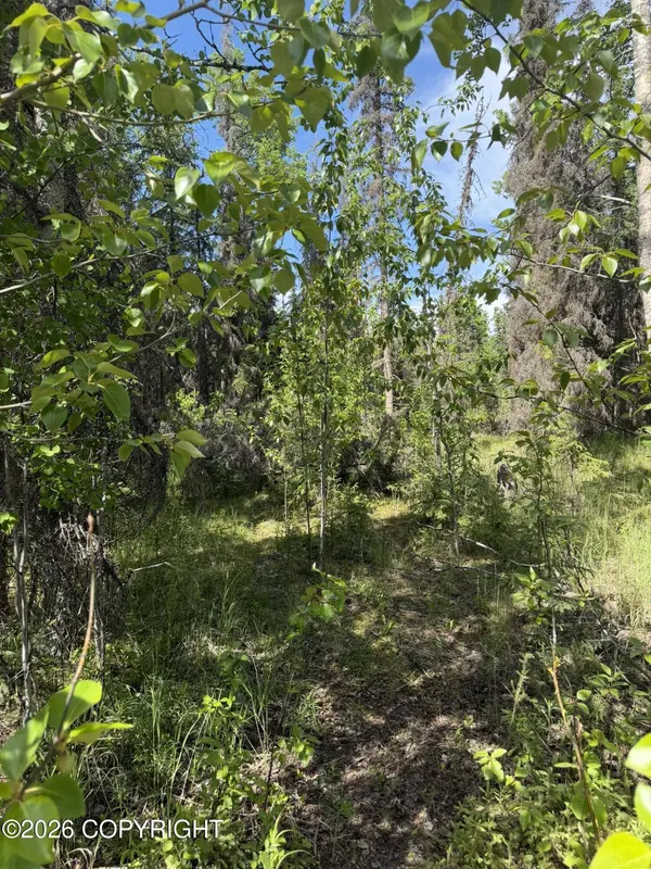L2A Westwood LN, Sterling, AK 99672