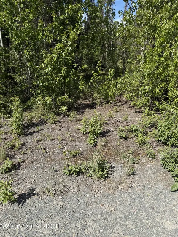 L2A Westwood LN, Sterling, AK 99672