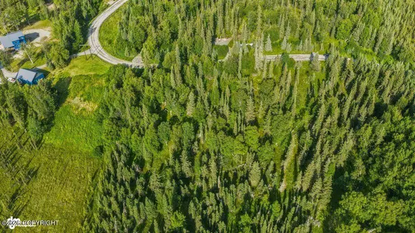 53888 Stol RD, Clam Gulch, AK 99568