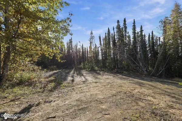 32563 Funny River RD, Soldotna, AK 99669