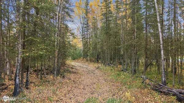 39414 Flatstone CT, Soldotna, AK 99669