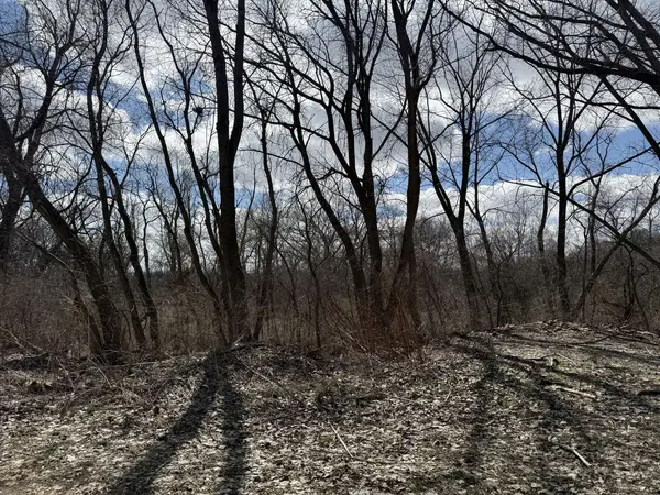 Elgin, IL 60124