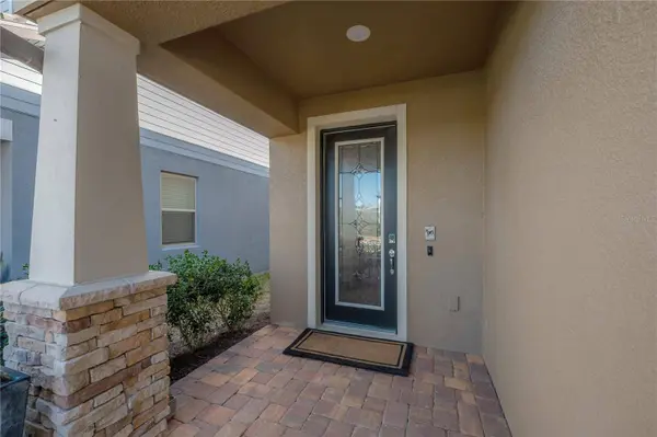 18162 FRAME BND, Land O Lakes, FL 34638