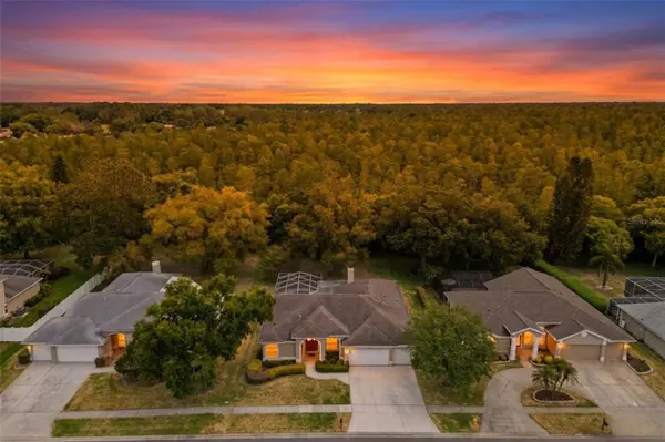 18543 BITTERN AVE, Lutz, FL 33558