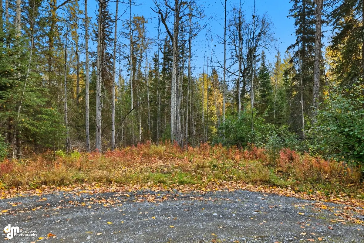 000 Ansel Street Soldotna AK 99669