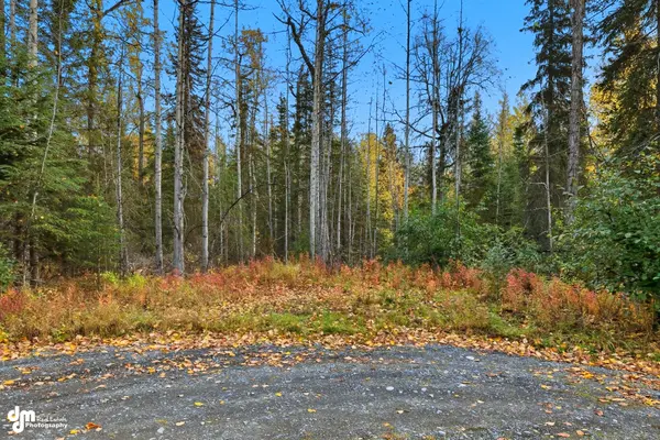000 Ansel Street Soldotna AK 99669, 