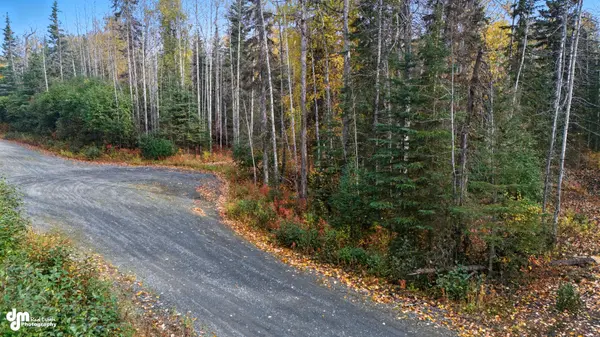 001 Ansel Street Soldotna Ak 99669, 