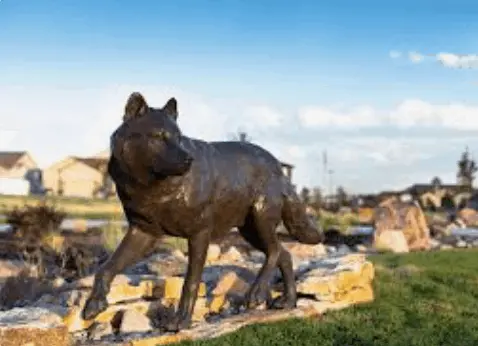 Living in Wolf Ranch: Modern Living in Northeast Colorado Springs,Rachel Ford-Wilkinson