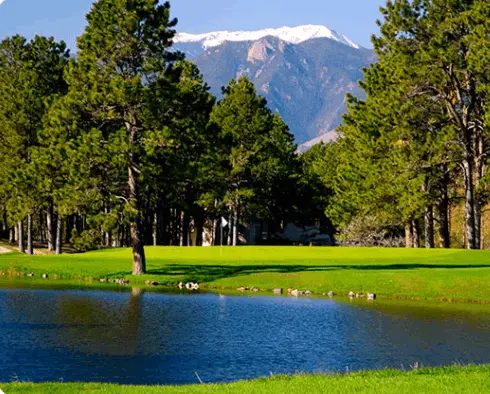 Real Estate in Woodmoor: Luxury Living Among the Pines,Rachel Ford-Wilkinson