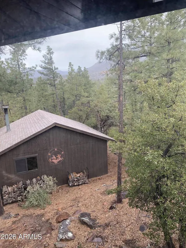 5415 W Valley View Drive, Pine, AZ 85544