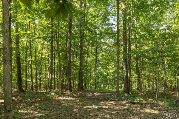 3341 County Road 146A, Annapolis, MO 63620