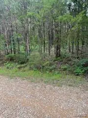 0 Rue Felice, Bonne Terre, MO 63628